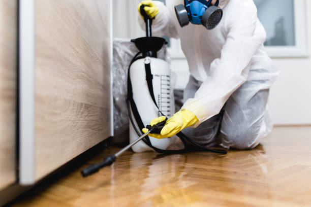 Pest Control Cost in Norman Park, GA