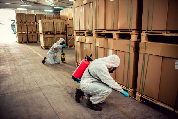 Best Ant Control Services  in Norman Park, GA