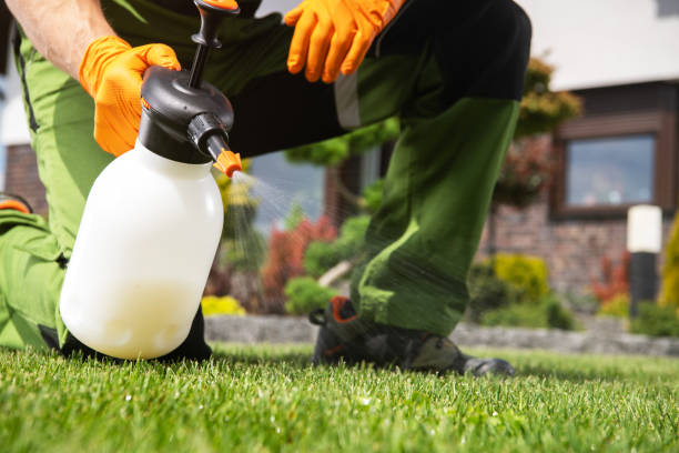 Best Pest Control Near Me  in Norman Park, GA