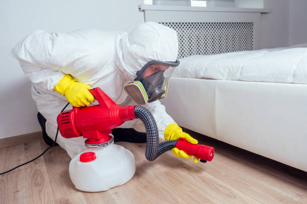 Best Local Pest Control Services  in Norman Park, GA