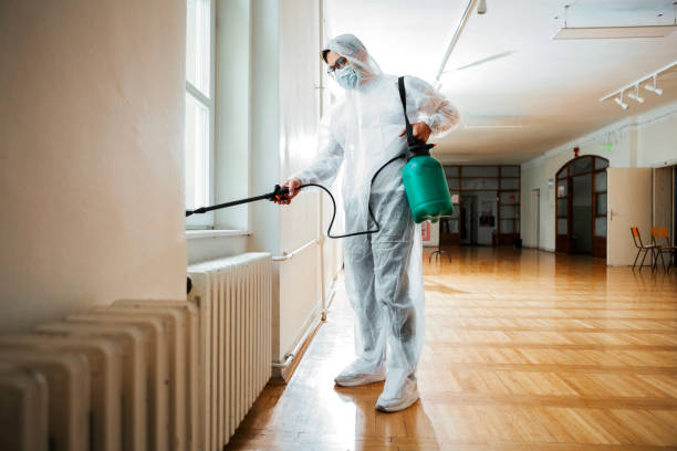 Best Termite Control Services  in Norman Park, GA